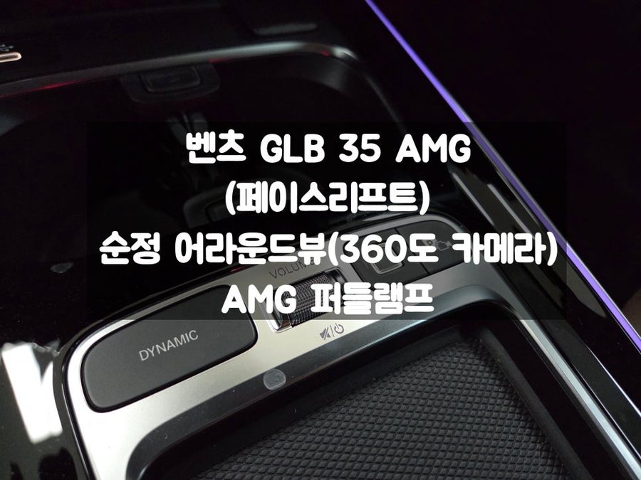 GLB 35 AMG 페이스리프트 어라운드뷰 순정으로 장착을 하는 이유 AMG 퍼들램프 추가