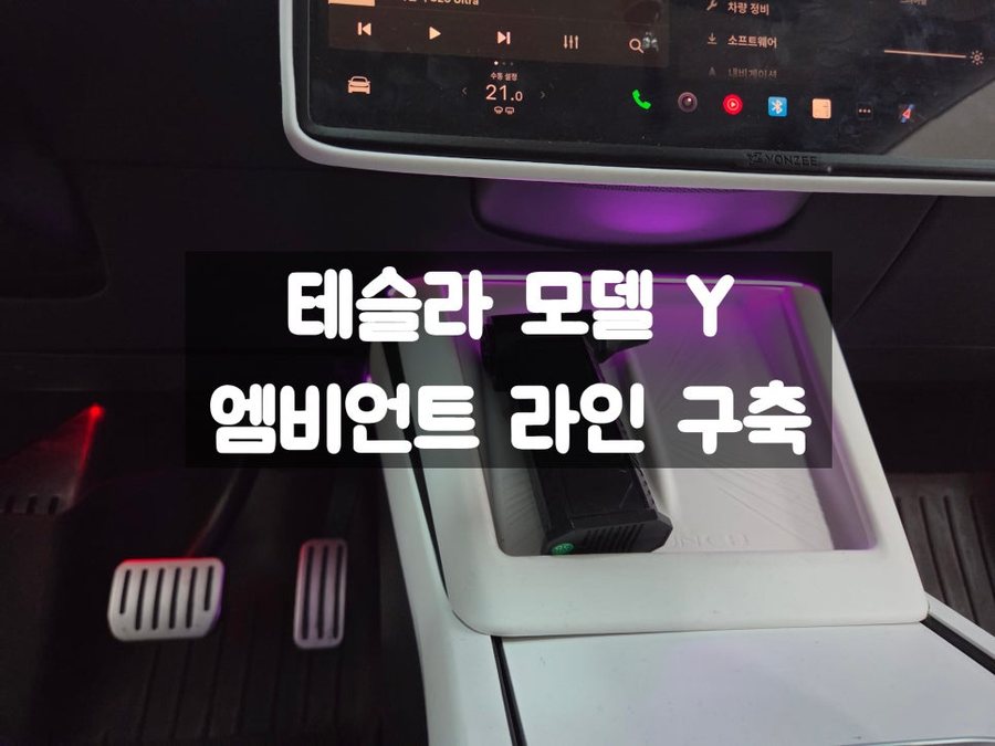 테슬라 모델 Y 엠비언트 라인 구축 튜닝